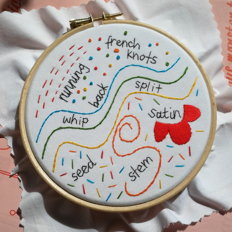 rainbow stitch sampler embroidery kit for beginners. learn basic embroidery stitches. eco craft kit for adults